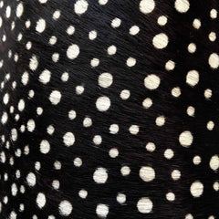 Fitting/ display Sample - Printed dots, blue and yellow pointy pumps, size 37.5