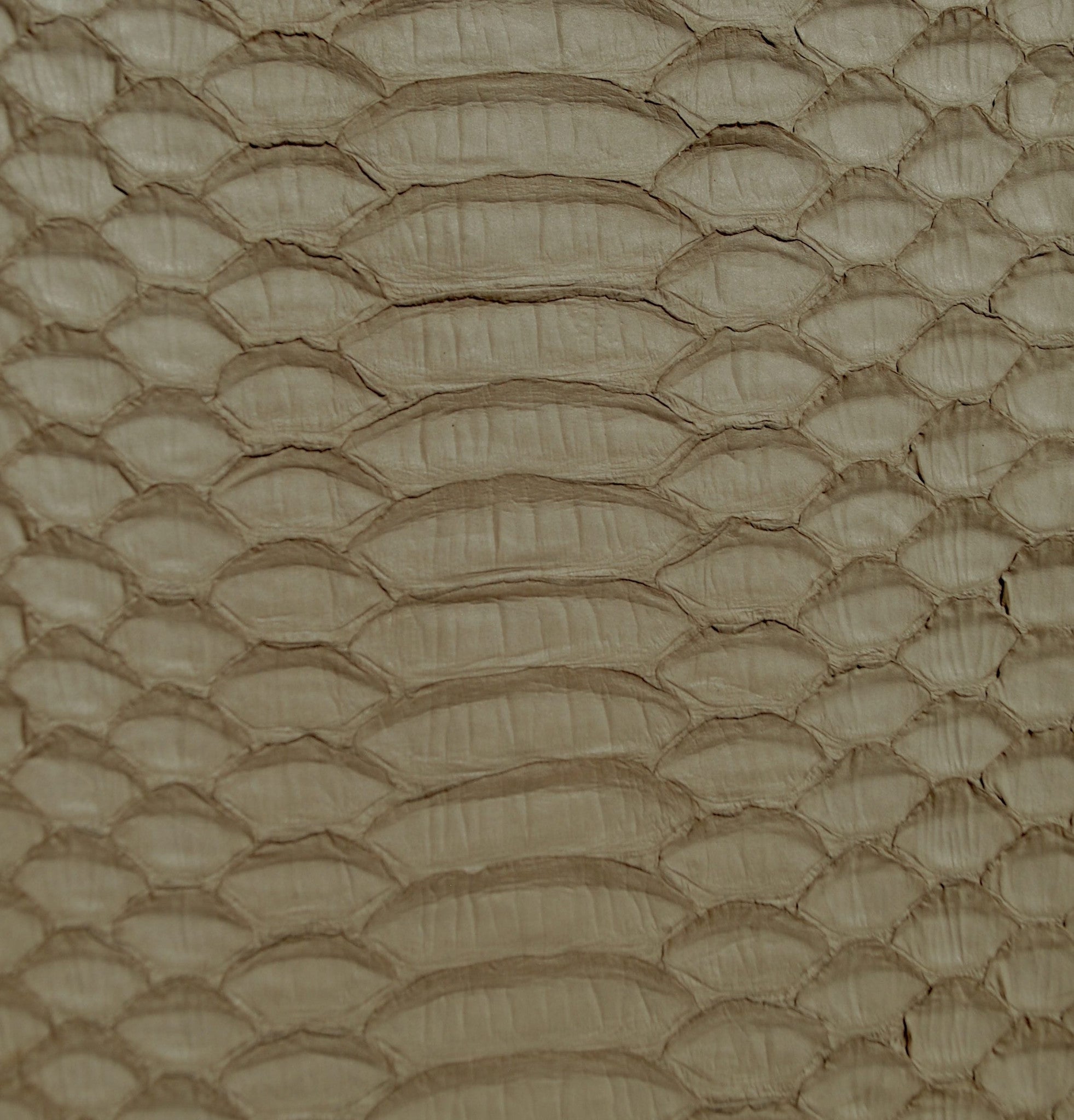 Fitting/ display Sample - Nude snake & neon pink platform pumps, size 37.5 (Grade C)