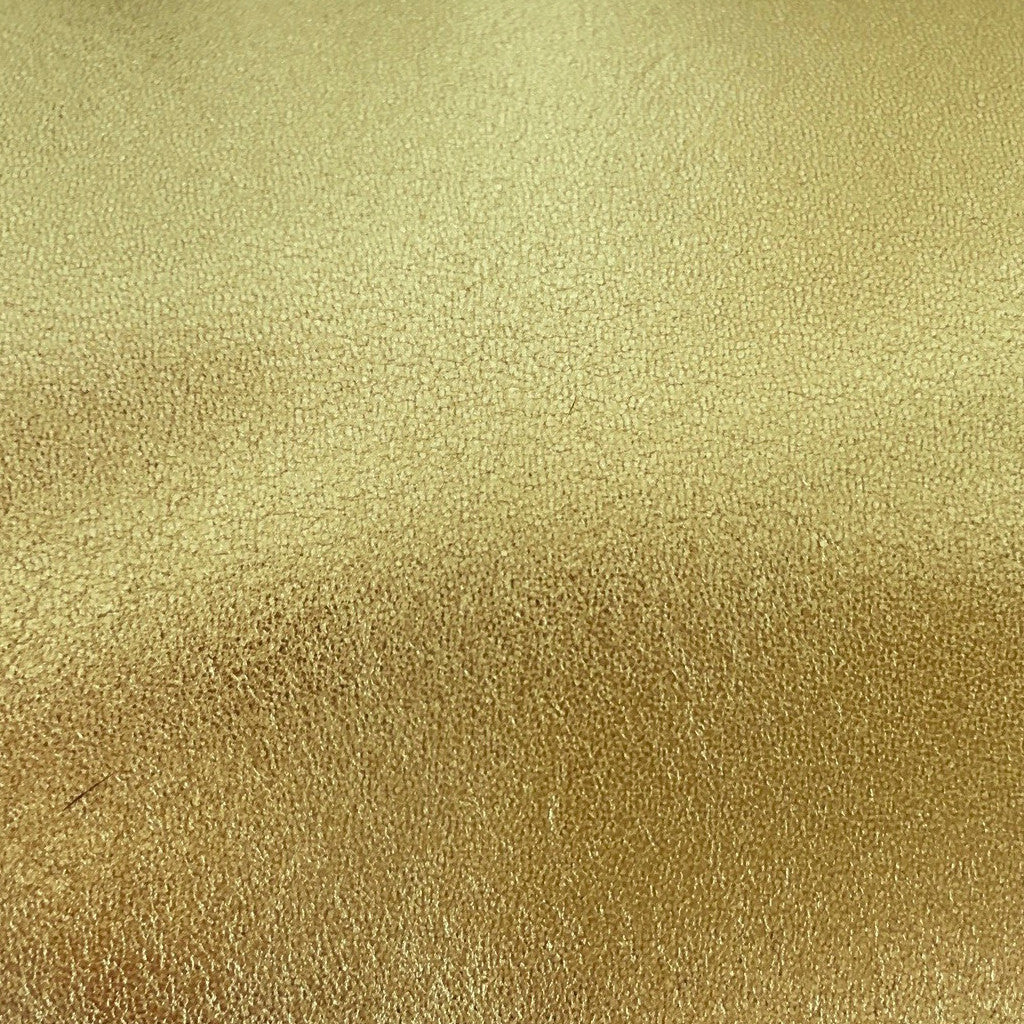 Fitting/ displays - Black and Gold pointy leather Pumps - Sizes 38, 40 (Grade A)